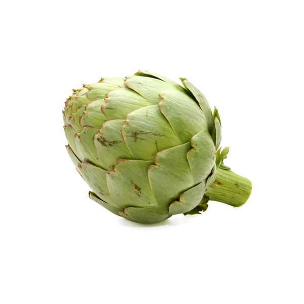 Artichokes globe
