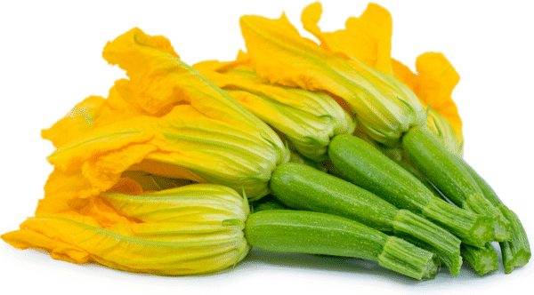 Zucchini flowers 5 pack