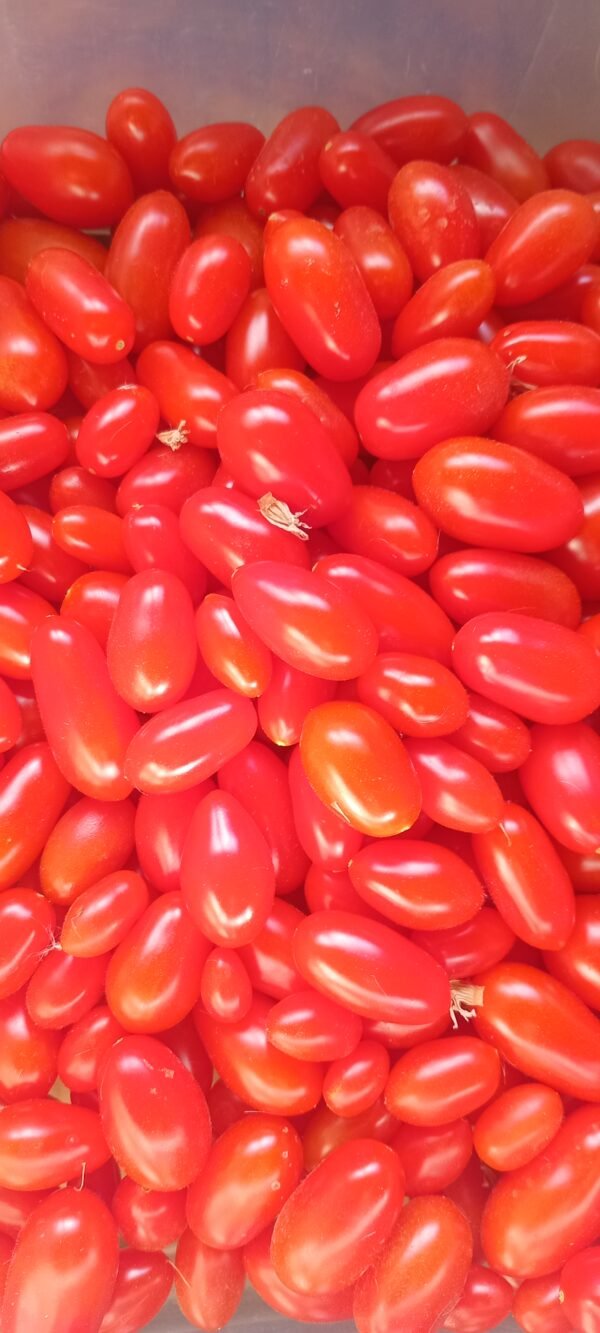 Tomato Sweet Mini Roma 200g
