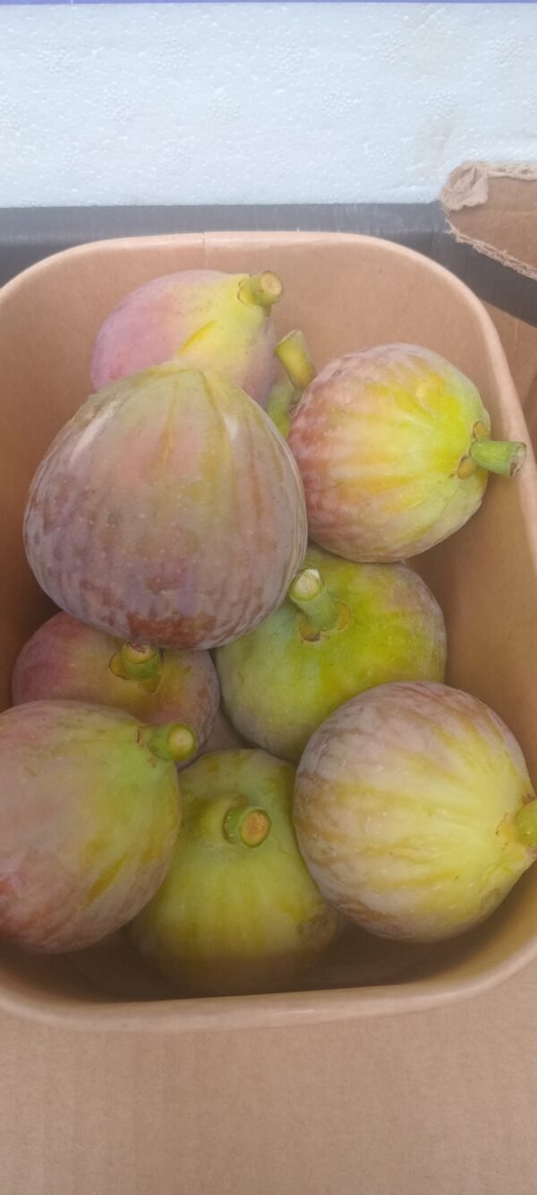 Figs Purple 500g