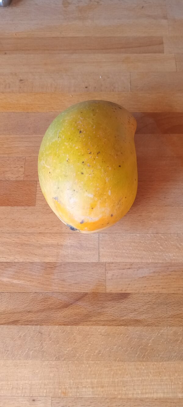 Mango Kensington Pride ea. Spray Free
