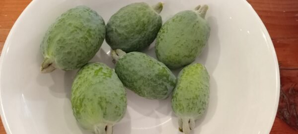 Fejoia 500g