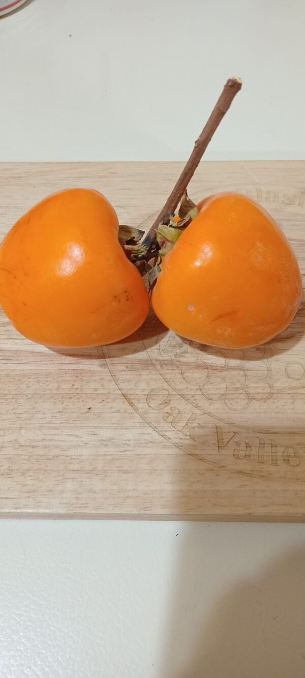 Persimmon (Soft Variety) Ea